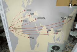 Exposition : "Les immigrations en Guadeloupe au XIXème siècle" décrypte le peuplement de l’archipel durant la période post-esclavagiste