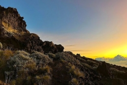 La Réunion : une rentrée ventilée, sous le soleil et 29 °C
