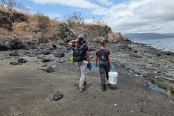Sur les îlots Hajangoua, la chasse au rat a commencé