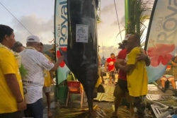 Jackpot de 6,320 millions cfp pour l'équipage du Miti Nui avec un haura de 306 kg 