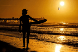 Nouvelle-Zélande : Il trouve une planche de surf perdue depuis 18 mois… à 2.400 km de là Nouvelle-Zélande : Il trouve une planche de surf perdue depuis 18 mois… à 2.400 km de là