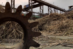 L'usine de Bois Rouge à l'arrêt jusqu'à lundi : une nouvelle fermeture qui agace à la FDSEA