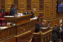 "Pansement sur une jambe de bois", les sénateurs guadeloupéens déçus après l'adoption de la Loi contre la vie chère 