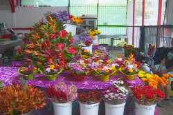 Toussaint 2.0 : quand l'innovation se mêle à la tradition