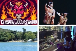 L’agenda sorties du 31 octobre au 6 novembre 2025 : Blackwoodstock, Festival de la magie, Fête de la mer… et Halloween