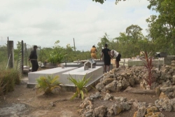 Toussaint en Guadeloupe : les cimetières familiaux, un patrimoine en péril