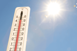 Réchauffement climatique : des engagements encore insuffisants, selon l'ONU, alors que les dirigeants sont attendus à la COP 30