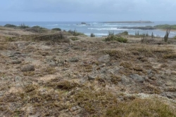 SÉ LA KAY NOU. Les trésors de la Savane des pétrifications à Sainte-Anne