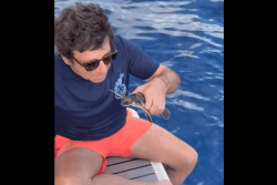 Patrick Bruel, ému sur scène, après avoir remis à la mer une tortue sauvée et soignée par Te Mana O Te Moana