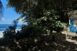 VIDEO. La commune de Basse-Pointe labélisée "ville de surf"