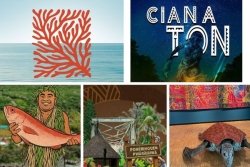 L’agenda sorties du 7 au 13 novembre 2025 : festival RÉCIF, Fête du wajuyu, "Cia na ton" ou Mini-foire de Ponérihouen