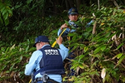 Les policiers japonais autorisés à abattre des ours, face à une vague d'attaques mortelles