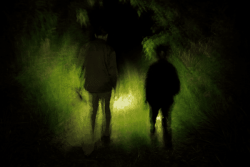 Contes au clair de lune à Matoury