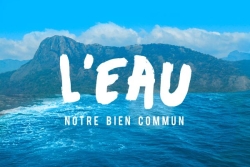 PODCAST. "L’eau, notre bien commun" : un voyage sonore au cœur des Outre-mer