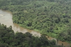 Un chasseur égaré retrouvé sain et sauf après une nuit en forêt à Iracoubo