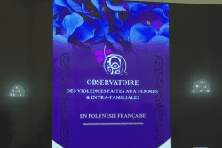 Violences intrafamiliales : création d'un observatoire pour mieux lutter contre ce fléau