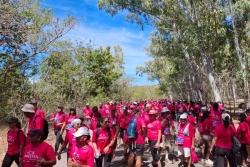 18ème édition d'Odysséa : plus de 350 500 euros récoltés pour la lutte contre le cancer du sein