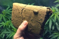 Île Maurice : deux Français condamnés à 22 ans de réclusion pour trafic ce haschisch