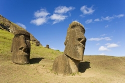 Le rat polynésien a-t-il déforesté l’île de Pâques ?