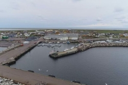 Dans l'Atlantique, le sort d'un dauphin émeut toute une communauté