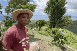 SÉ LA KAY NOU. Sylvain Languedoc présente son jardin créole à Bellefontaine