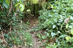 Disparition de Dugary Charles : six mois sans nouvelle à Matoury