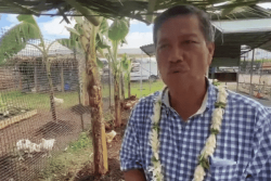 La chambre d'agriculture épinglée pour son manque de transparence et de rigueur dans la gestion de ses chantiers communaux