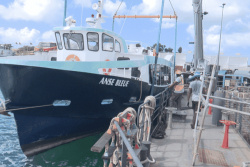 Transports maritimes : un quatrième bateau pour Blue Lines, mais les usagers attendent des améliorations