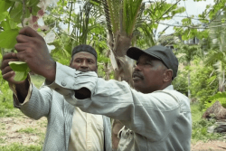 Les agriculteurs réclament la protection de leurs terres face à l’occupation illégale