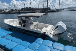 Transat Café l'Or 2025 : Les élèves du lycée Raymond-Néris présentent avec fierté leur bateau au village