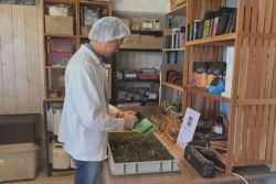 Des artisans réunionnais s’unissent pour mieux s’exporter vers la Belgique