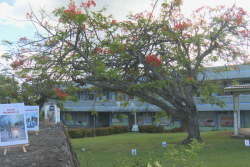 TERRE D'ECRITURE. Nicole Cage, "Cette maman-là" et "Confidientiel" (Caraïbéditions)