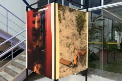 Caruru : les plantes dans les cultures afro-amazoniennes exposées en photos à Belém pendant la COP 30