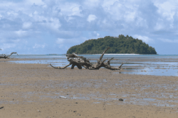 "Quand ce sont les grandes marées, il suffit qu’il y ait un peu de vent, pour que les vagues submerger la dalle où se trouve notre maison." À Halalo, la mer grignote le littoral.