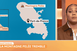 Martinique : l'activité sismique hors normes de la Montagne Pelée