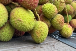 Le letchi vert, une nouvelle variété à La Réunion à 20€ le kilo