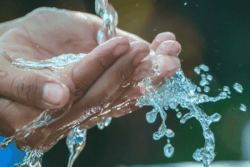 En Polynésie Française, 38% de la population n'a pas accès à une eau traitée et sécurisée