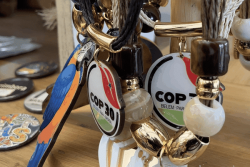 COP30 : À Belém, le marché de Ver-o-Peso aux couleurs de la conférence sur le climat