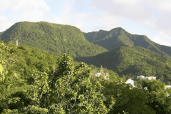 Sept aires protégées françaises rejoignent la liste verte mondiale de l’Union Internationale pour la Conservation de la Nature.