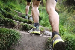 Fin de la gratuité du Pass prévention santé : une mesure qui divise dans le monde de la course à pied