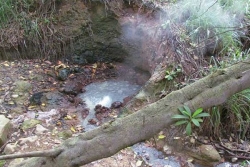 Albioma demande un permis exclusif de recherche géothermique : "Ça va être un pillage de la Guadeloupe !"