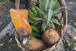 Paniers solidaires : une solution contre la précarité en Guadeloupe