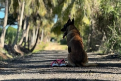 Épisode 3. Mois sans tabac : course, puff, patchs, hypnose … Tester pour ne pas replonger