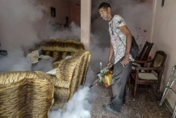 À Cuba, une épidémie de chikungunya hors de contrôle