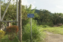 Le meurtrier présumé du Morne-Vert placé en garde à vue