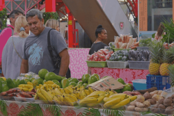 Pass tama’a : maita’i pour les salariés, pas encore pour le Cesec