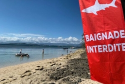 Des requins en nombre près des côtes de la Nouvelle-Calédonie : faut-il s’inquiéter ?