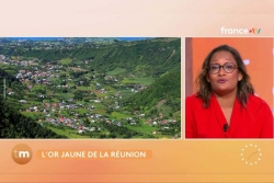 Le curcuma la poudre d'or aux multiples vertus 