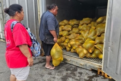 Tubuai lance sa saison des pastèques : 80 tonnes débarquées à Papeete