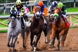 Les pronostics du Quinté de Deauville du 26 novembre 2025 par Jack Vautrin